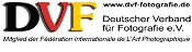 DVF Logo