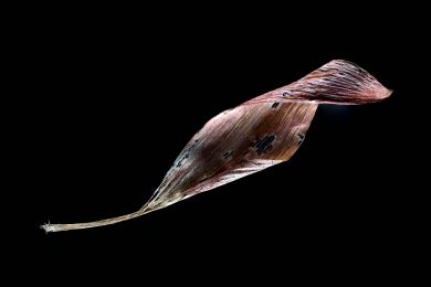 Michael Kunze: Unbenannt