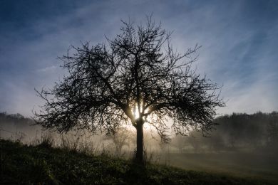 02 Späte Sonne