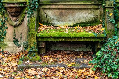 Heinrich Schneider: Letztes Ausruhen